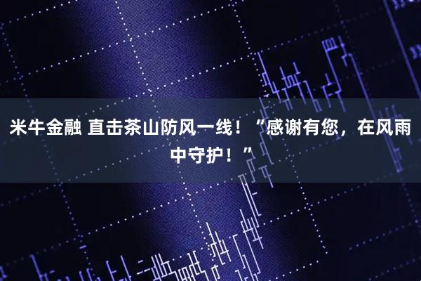 米牛金融 直击茶山防风一线！“感谢有您，在风雨中守护！”