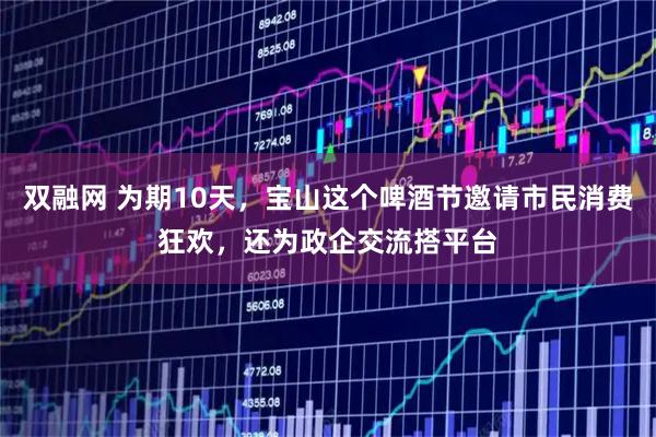 双融网 为期10天，宝山这个啤酒节邀请市民消费狂欢，还为政企交流搭平台