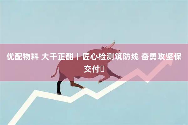 优配物料 大干正酣丨匠心检测筑防线 奋勇攻坚保交付⑯
