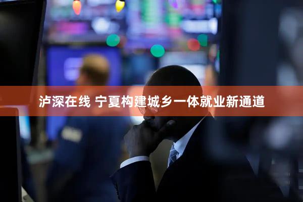 泸深在线 宁夏构建城乡一体就业新通道
